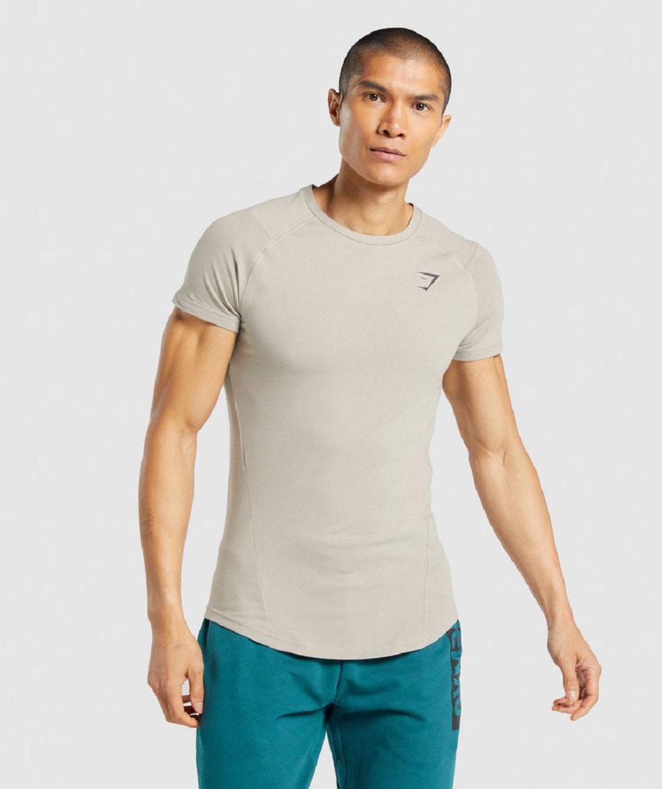 T Shirts Gymshark Bold Hombre Gris | CO 3348MQZ